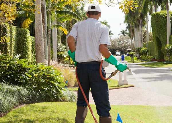 About Keisterville PA Pest Control Pros